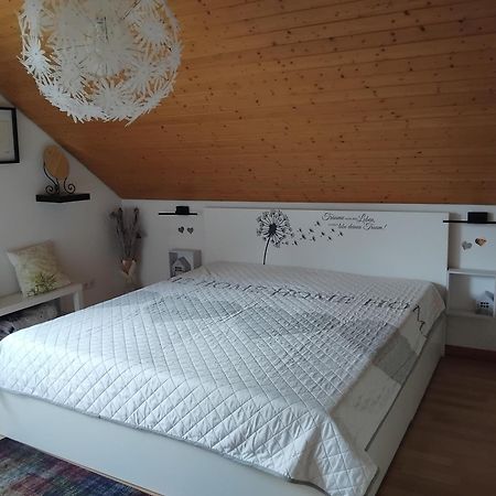 Ferienwohnung Monteurwohnung Pusteblume دودرشتات المظهر الخارجي الصورة